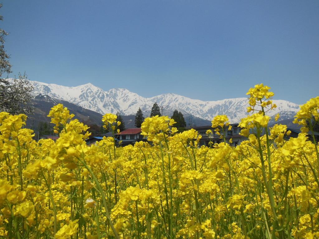 Pension Ciel Hakuba Exterior foto
